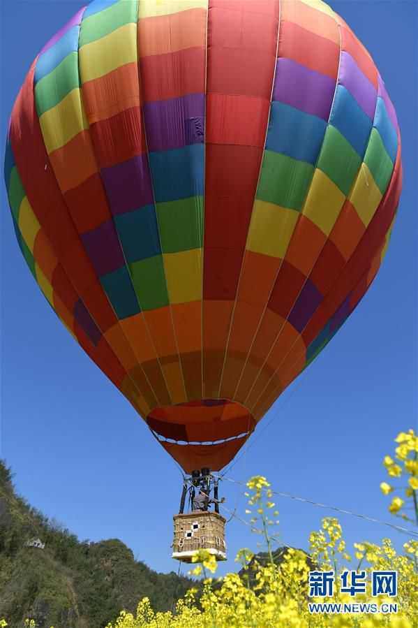 贛西大地 油菜花開(kāi)