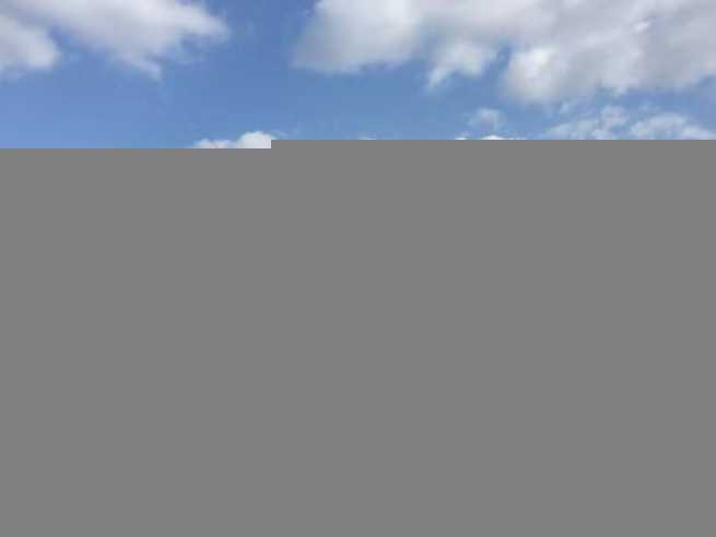 【一枝一葉總關情】習近平兩會“惠”民生