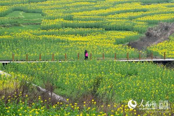 仁懷:山村田園好風(fēng)光