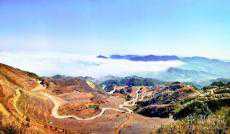 跨越萬水千山 茶苗生發(fā)致富希望