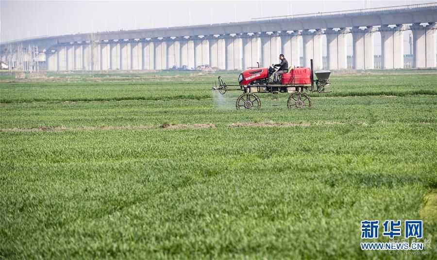 (圖文互動(dòng))(2)綠色點(diǎn)染希望的田野——全國(guó)春耕生產(chǎn)形勢(shì)綜述