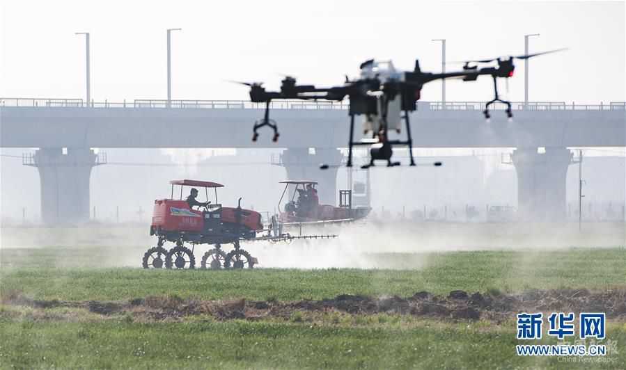 (圖文互動(dòng))(1)綠色點(diǎn)染希望的田野——全國(guó)春耕生產(chǎn)形勢(shì)綜述