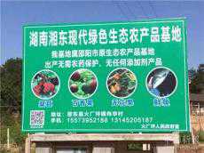 600畝的果?；貛?dòng)120余戶致富 每畝創(chuàng)收2萬(wàn)元