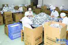 海外抗疫，中醫(yī)藥貢獻(xiàn)獨(dú)特力量