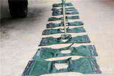 野外駐訓又雙叒叕來了，還不快來看看？