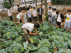 貴州桐梓縣堯龍中學(xué)黨支部組織開展畢業(yè)感恩獻(xiàn)禮活動