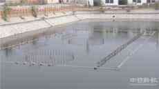 厲害了我的村！河北滿城龐村有了彩燈音樂(lè)噴泉了