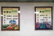 拒絕“舌尖上的浪費” ?兵哥哥喊你一起踐行“光盤行動”