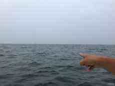 臺灣當(dāng)局：偷渡來臺須負刑責(zé)