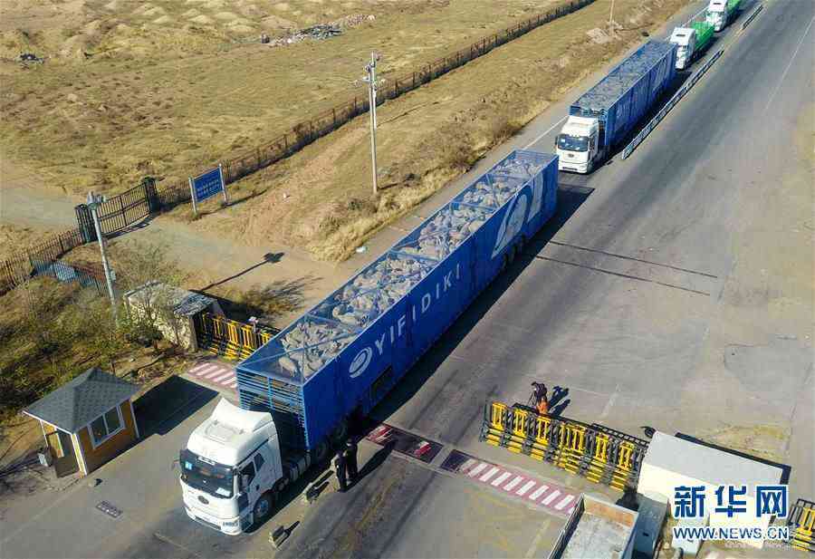 (社會(huì))(9)中國(guó)開(kāi)始接收蒙古國(guó)3萬(wàn)只“捐贈(zèng)羊”