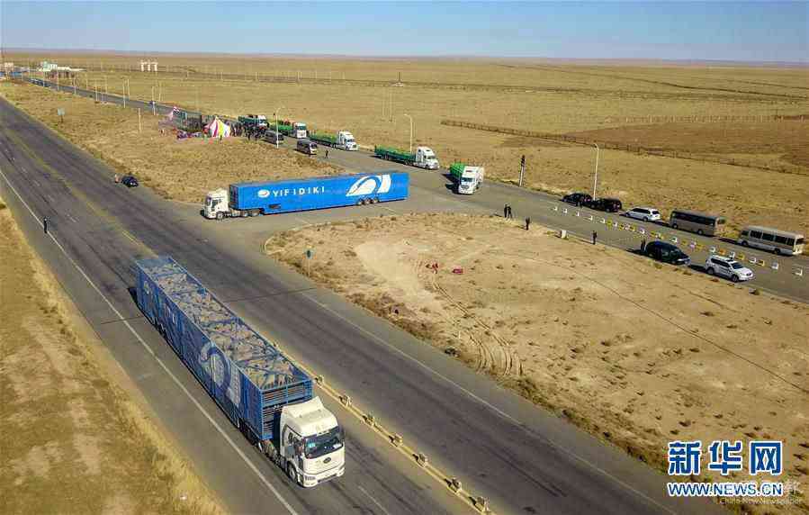 (社會(huì))(8)中國(guó)開(kāi)始接收蒙古國(guó)3萬(wàn)只“捐贈(zèng)羊”