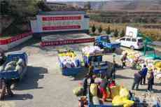 甘肅慶陽(yáng)白瓜子讓群眾笑了，錢袋子鼓了