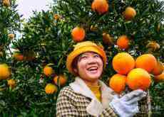 橙香景美樂(lè)家塘