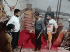 印度工廠用驢糞制食用香料 官員稱長(zhǎng)期吃影響健康