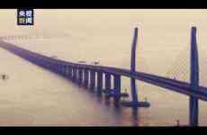 澳門2020：盛世蓮花別樣紅