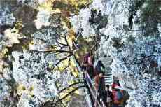 元旦假期！莽山五指峰景區(qū)人氣旺