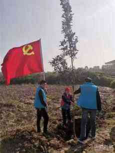 湖南沅江市沅江桔園學校開展學雷鋒植樹活動 