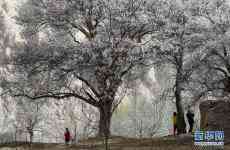 帕米爾高原：春暖花開(kāi)引客來(lái)