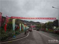 百里杜鵑廟腳花鳥(niǎo)市場(chǎng)首場(chǎng)今日開(kāi)業(yè)