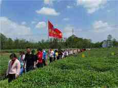 休寧縣洪里中心小學(xué)開展勞動教育實踐活動