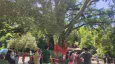 湖北：紅色旅游人氣高漲，端午市場秩序安全平穩(wěn)有序