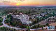 綠意盎然統(tǒng)萬(wàn)城