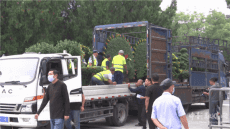 河北保定：“雙節(jié)”將至 競(jìng)秀公園八萬(wàn)盆鮮花喜迎八方游客