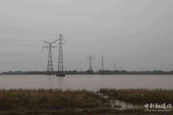【母親河畔的中國】打卡鄭州黃河灘地公園 感受黃河的壯美奇觀