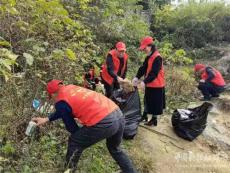 武岡田家渡完全小學(xué)黨支部開(kāi)展“學(xué)雷鋒”志愿服務(wù)活動(dòng)