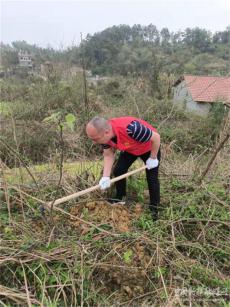 湖南武岡市經(jīng)開(kāi)區(qū)志愿者義務(wù)植樹(shù)為美麗鄉(xiāng)村添綠增靚