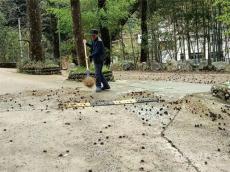 休寧縣鶴城鄉(xiāng)：鶴發(fā)守初心，力行踐使命，薪火代相傳！