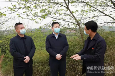 珠暉區(qū)領(lǐng)導(dǎo)督導(dǎo)清明期間森林防火、疫情防控工作