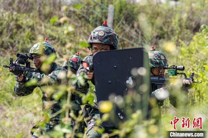 特戰(zhàn)隊(duì)員對從林地進(jìn)行搜索?！『铘敃x 攝