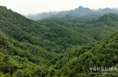 守護(hù)藥材“健康”，檔案出具“良方”