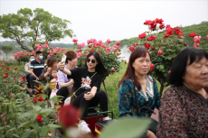 突破10萬！小長假旅游回暖，衡陽珠暉區(qū)迎來客流小高峰！