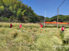 衡陽縣金溪鎮(zhèn)：人在深山心向黨，志愿路上顯真情
