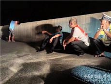 應(yīng)對(duì)得當(dāng) 長沙路管員救下輕生男子