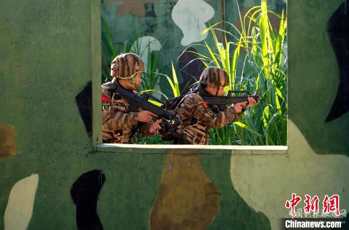 圖為特戰(zhàn)隊員正在搜索前進 黃永峰 攝