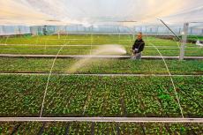 中國更大力度鞏固拓展脫貧攻堅(jiān)成果