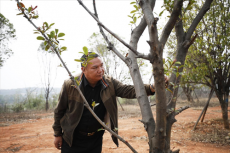 蔡建華：他20年來捐贈樹苗，構(gòu)筑鄉(xiāng)村靚麗道路風(fēng)景線