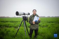 濕地深處的“護(hù)鳥(niǎo)人”