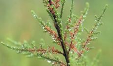 保護(hù)生物多樣性  呵護(hù)長江母親河