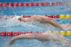 全國(guó)游泳冠軍賽潘展樂(lè)超男子100自亞洲紀(jì)錄