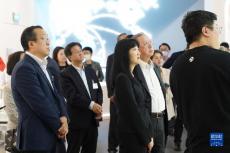 香港工商界考察團看好大灣區(qū)合作新機遇