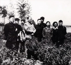 “挑擔(dān)茶葉上北京—湘茶大會(huì)”在長沙橘子洲舉行