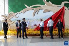 “中國(guó)攻克雜交水稻難關(guān)50周年”展覽在京開幕