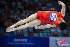 力與美的較量 大運(yùn)會(huì)體操選手翻轉(zhuǎn)騰空競(jìng)技藝