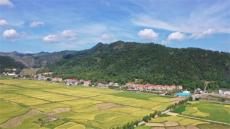 衡陽縣庫宗橋鎮(zhèn)發(fā)揮鄉(xiāng)賢力量強(qiáng)化公共服務(wù)能力