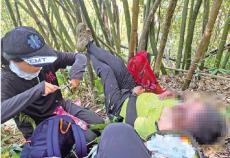 臺(tái)登山團(tuán)遭虎頭蜂攻擊 2死9傷