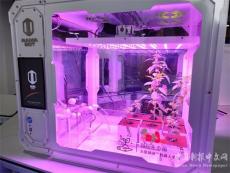 荊門掇刀區(qū)軍馬場學校：萬馬奔騰社團課又添“新成員“